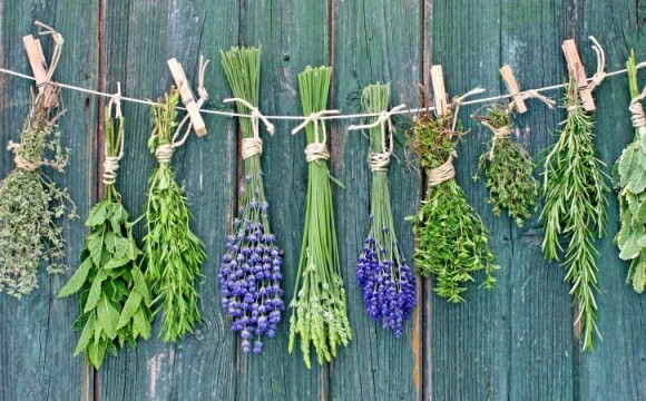 Upaya Manusia di Masa Lalu: Bagaimana Peradaban Kuno Mencoba Mengobati Diabetes